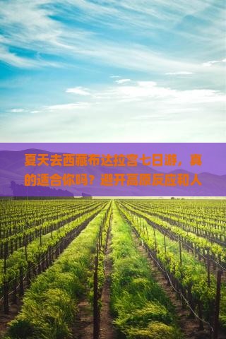 夏天到西藏布达拉宫七日游