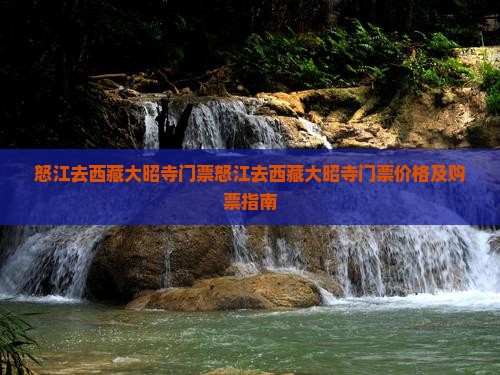 怒江去西藏大昭寺门票