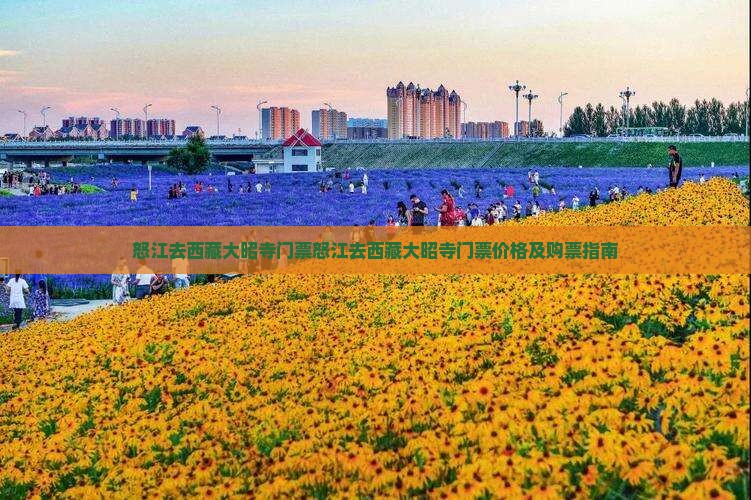 怒江去西藏大昭寺门票
