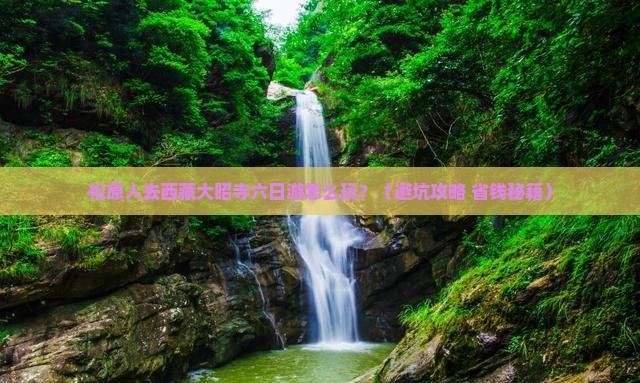 松原去西藏大昭寺六日游