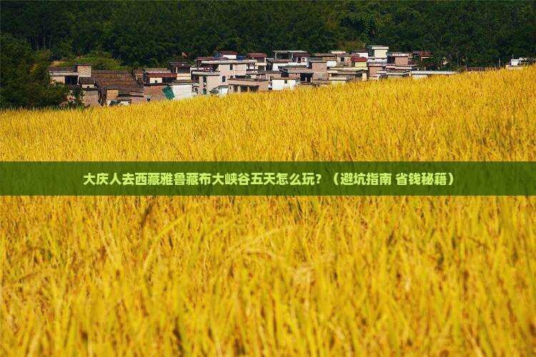 大庆去西藏雅鲁藏布大峡谷五日游