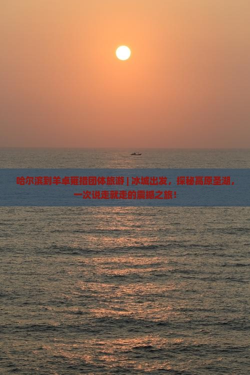哈尔滨到西藏羊卓雍措团体旅游