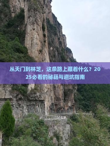 天门到西藏林芝攻略