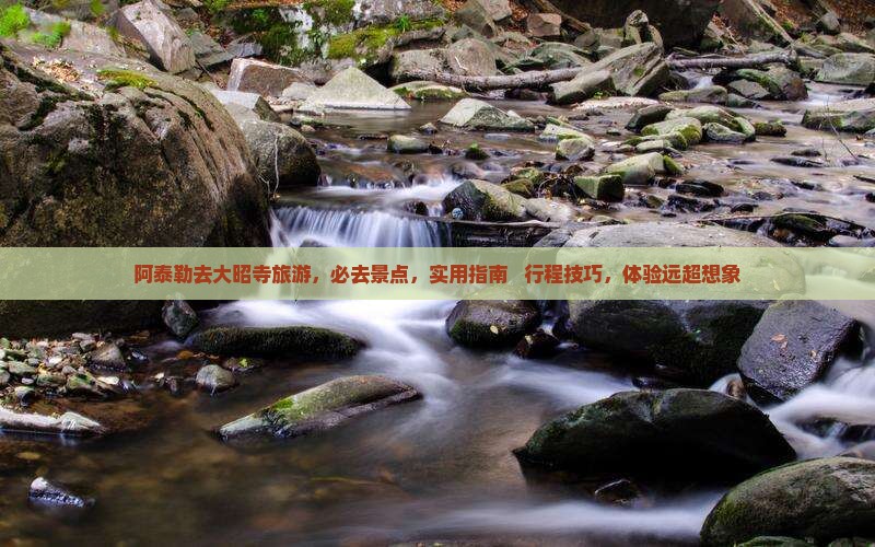 阿泰勒去西藏大昭寺旅游