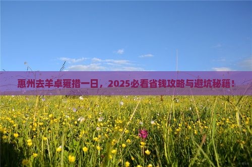 惠州去西藏羊卓雍措一日