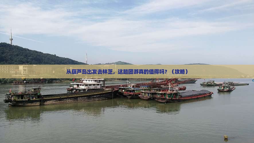 葫芦岛去西藏林芝团体旅游 葫芦岛去西藏林芝团体旅游