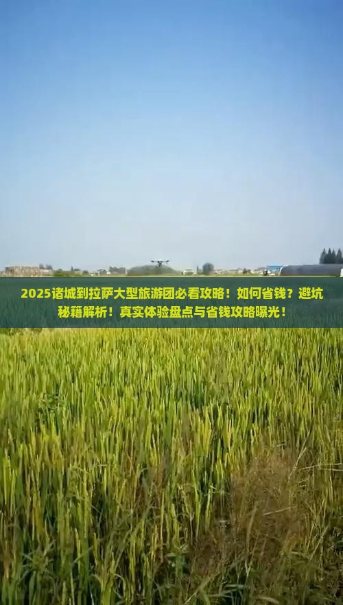 诸城到西藏拉萨大型旅游团 诸城到西藏拉萨大型旅游团