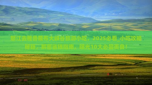 怒江去西藏雅鲁藏布大峡谷旅游小吃