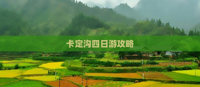 定西去西藏卡定沟四日游