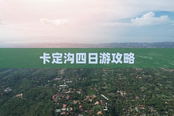 定西去西藏卡定沟四日游