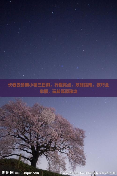 长春去西藏鲁朗小镇三日游