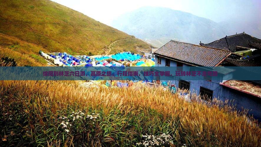 绵阳到西藏林芝六日游