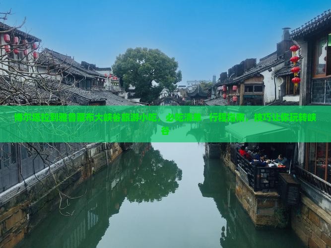 博尔塔拉到西藏雅鲁藏布大峡谷旅游小吃