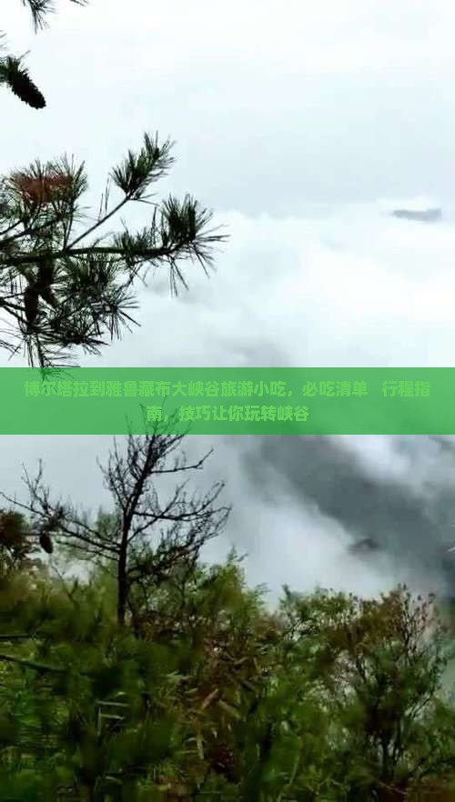 博尔塔拉到西藏雅鲁藏布大峡谷旅游小吃