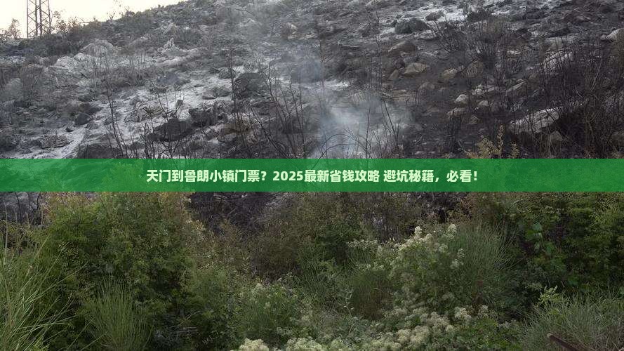 天门到西藏鲁朗小镇门票