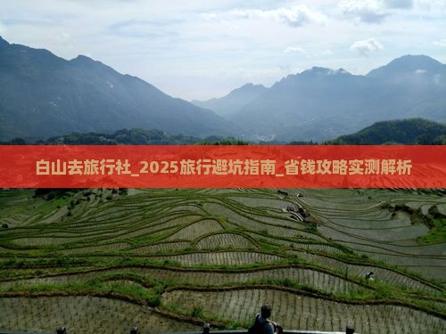 白山去西藏旅行社