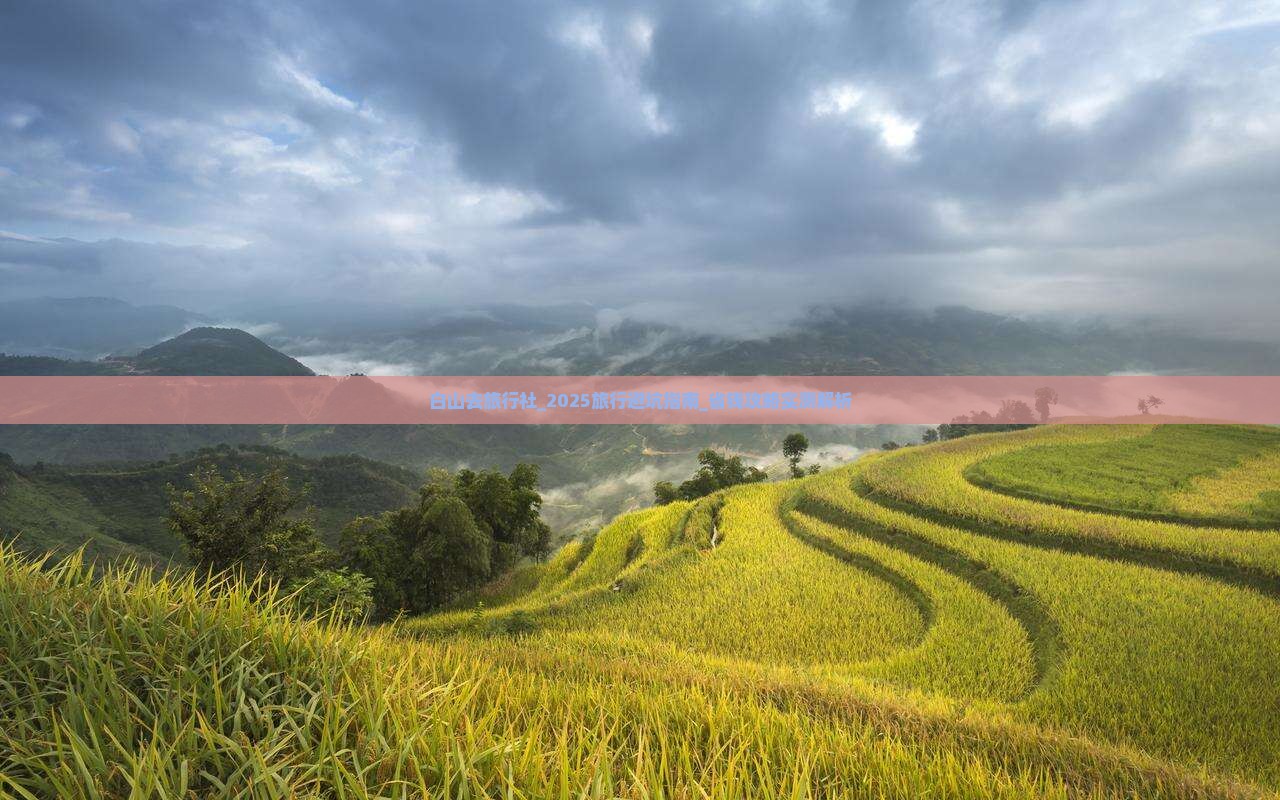 白山去西藏旅行社
