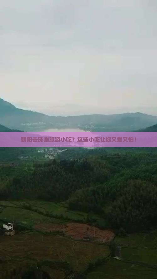 朝阳去西藏珠峰大本营旅游小吃
