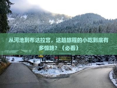 河池去西藏布达拉宫旅游小吃