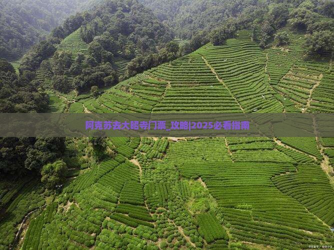 阿克苏去西藏大昭寺门票