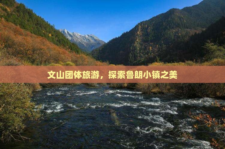 文山去西藏鲁朗小镇团体旅游