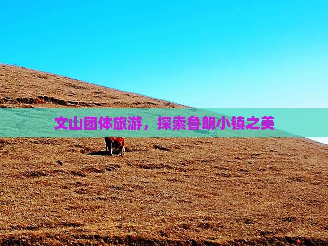 文山去西藏鲁朗小镇团体旅游