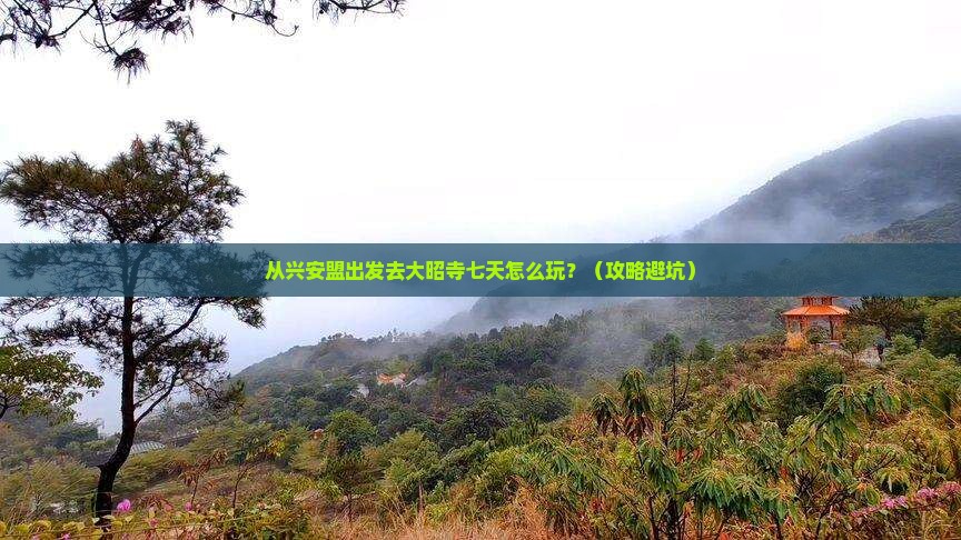 兴安盟去西藏大昭寺七日游