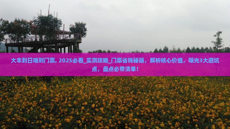 大丰到西藏日喀则门票