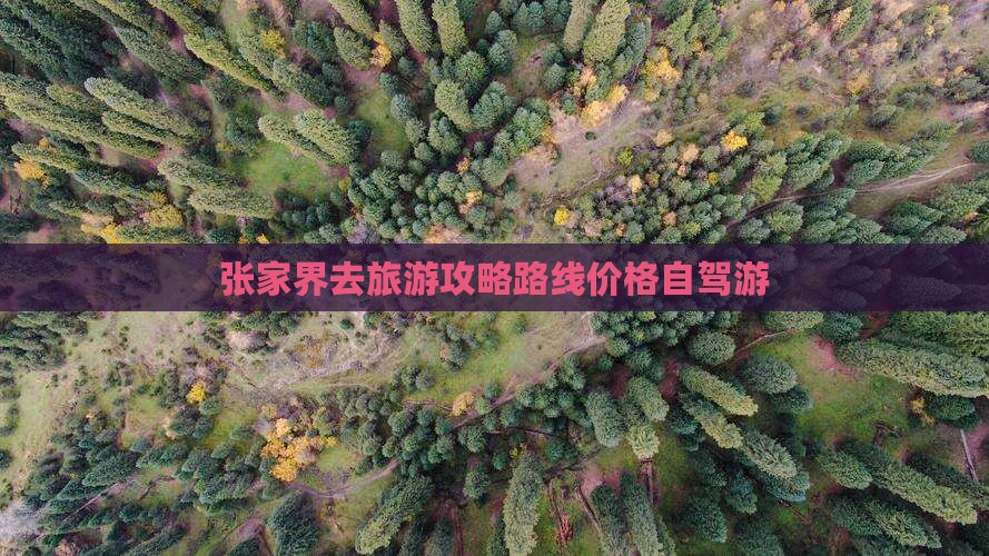 张家界去西藏旅游