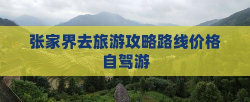 张家界去西藏旅游
