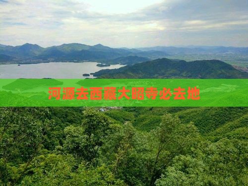 河源去西藏大昭寺必去地