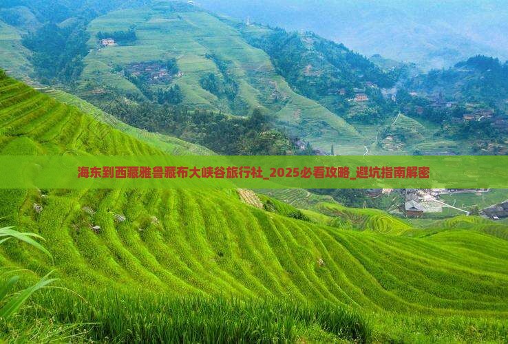海东到西藏雅鲁藏布大峡谷旅行社