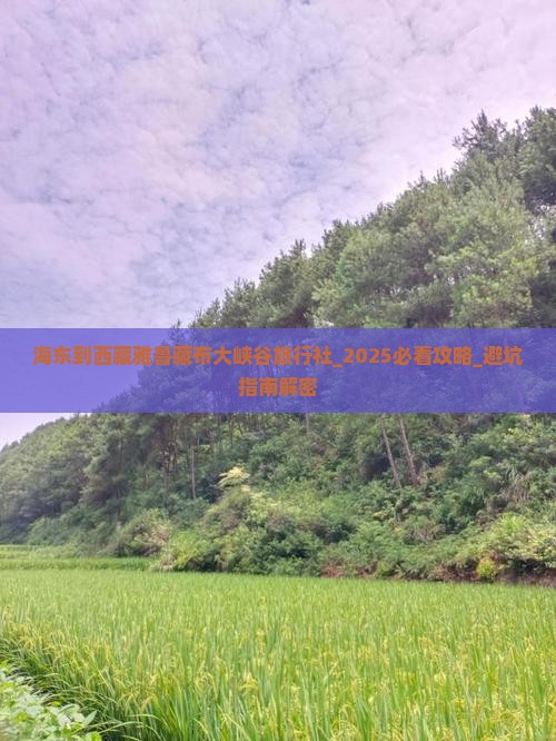 海东到西藏雅鲁藏布大峡谷旅行社