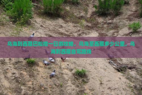 乌海到西藏巴松措一日