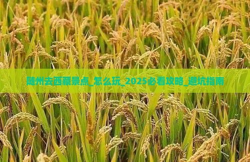 随州去西藏景点