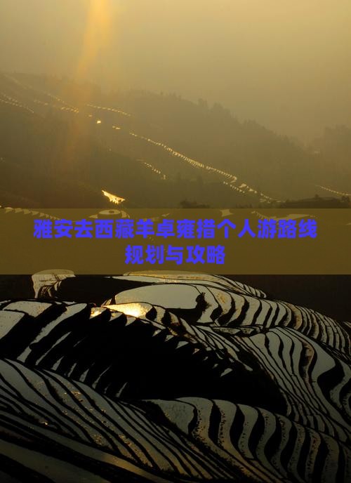 雅安去西藏羊卓雍措个人游
