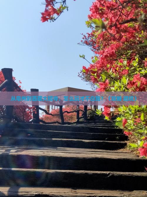 亳州去西藏大昭寺哪里玩