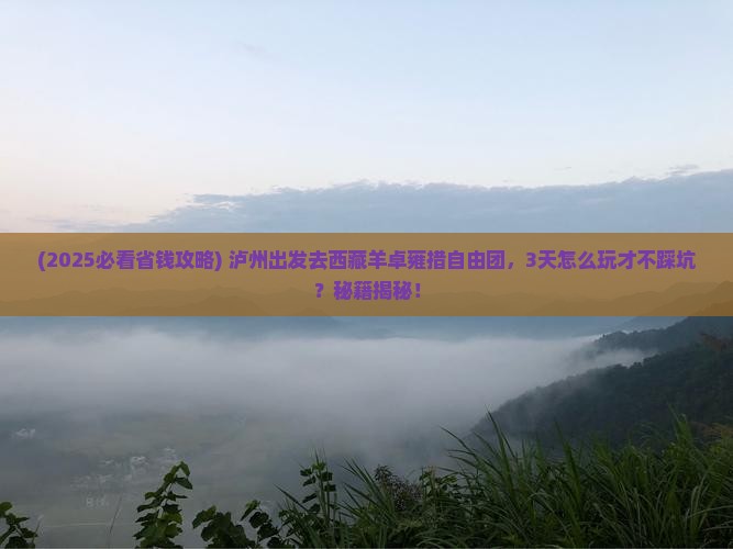 泸州去西藏羊卓雍措自由团
