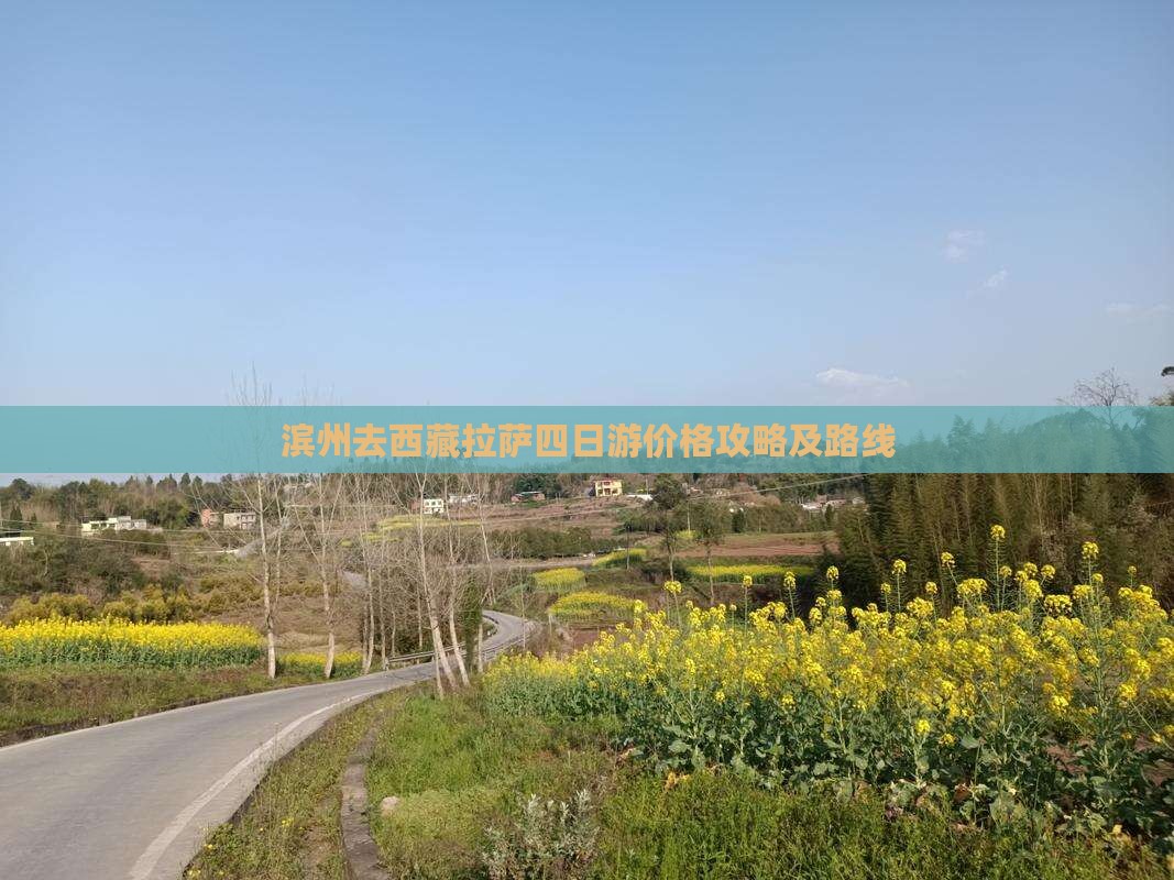 滨州去西藏拉萨四日游