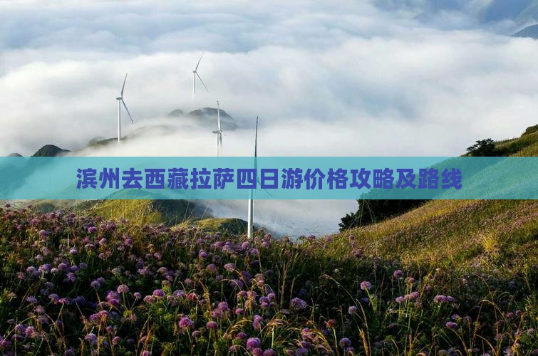 滨州去西藏拉萨四日游