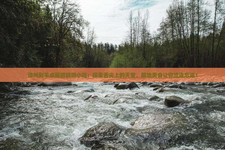 漳州到西藏羊卓雍措旅游小吃