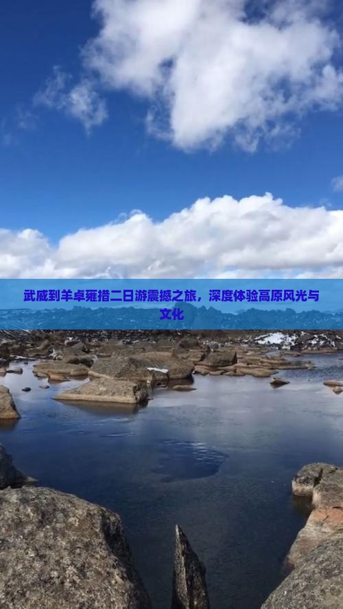 武威到西藏羊卓雍措二日游