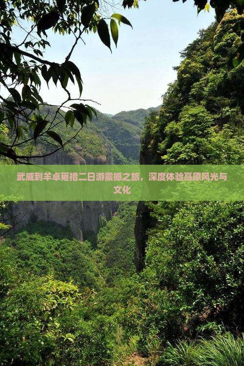 武威到西藏羊卓雍措二日游