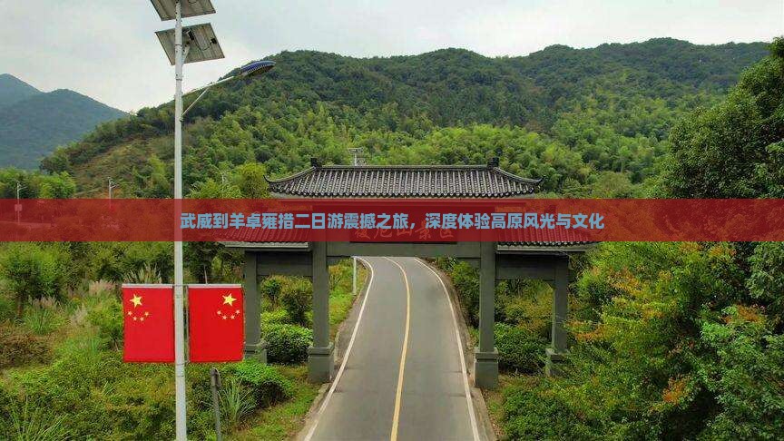 武威到西藏羊卓雍措二日游