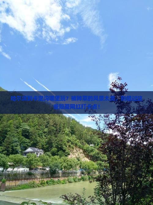 哈尔滨到西藏卡定沟哪里玩