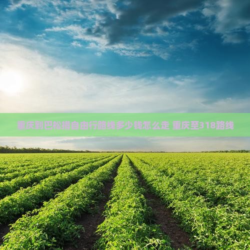 重庆到西藏巴松措自由行