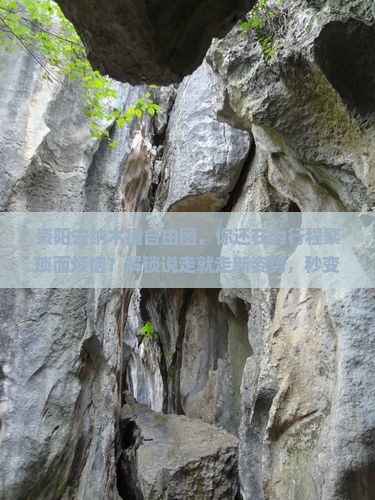 资阳去西藏纳木措自由团