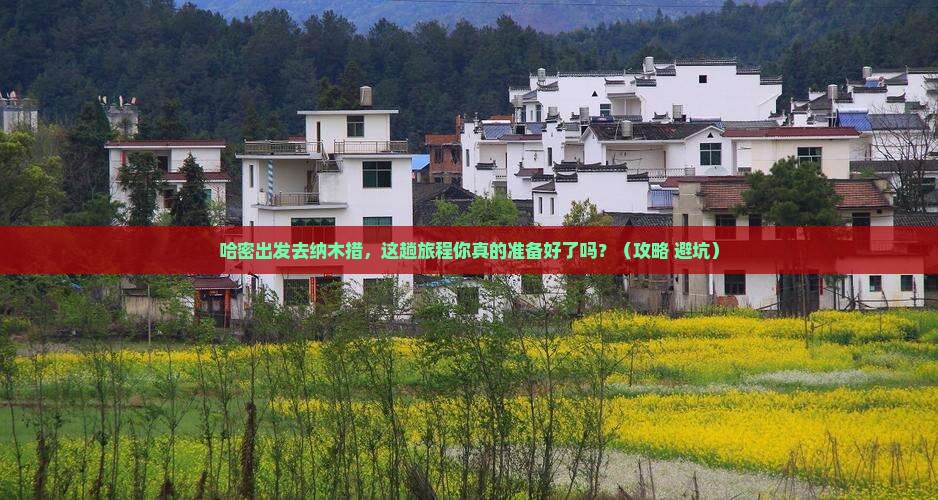 哈密到西藏纳木措旅行社