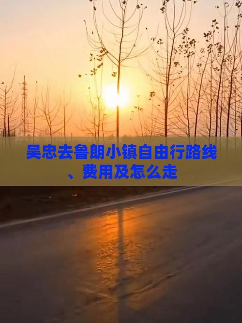 吴忠去西藏鲁朗小镇自由行