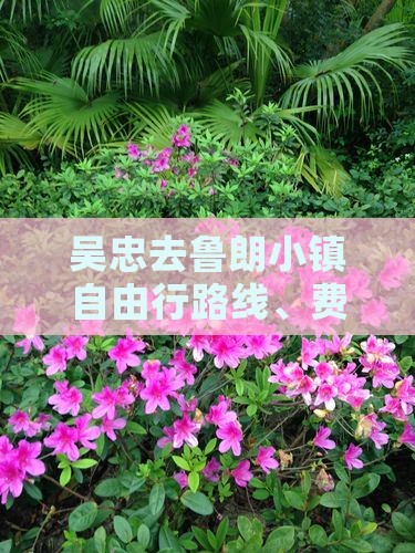 吴忠去西藏鲁朗小镇自由行